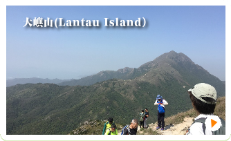 こんなメンバーです