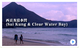 楽しく活動しています。