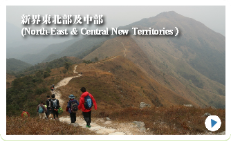 あなたも参加しませんか？