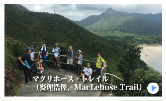 楽しく活動しています。