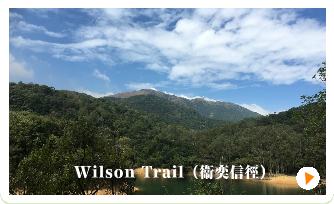 こんなメンバーです